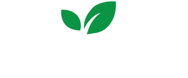 VISIT LIEKSA